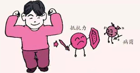 解析全自動麻豆视频软件發展的重要意義