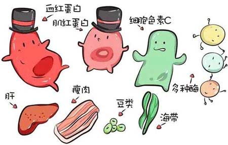 麻豆视频软件廠家分析元素之間的協同作用
