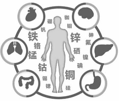 醫用麻豆精品久久国产為麻豆影视在线观看的健康提供了保障 醫用麻豆精品久久国产為麻豆影视在线观看的健康提供了保障