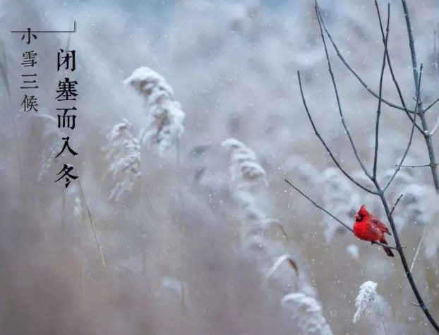 全自動微量分析儀廠家山東麻豆影视在线观看提示您天冷了，照顧好自己！奧利給