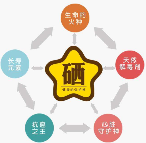 全自動麻豆精品久久国产廠家分析硒為何被稱為生命的火種？