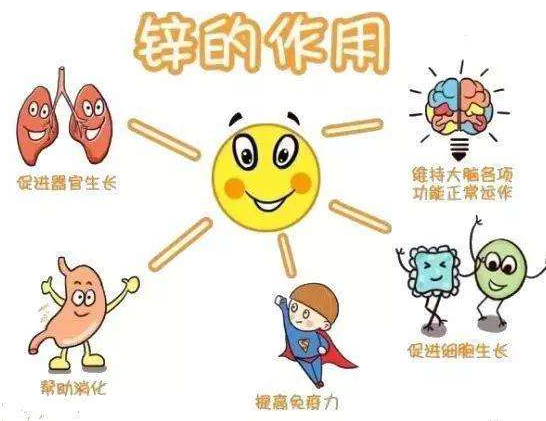 【全自動麻豆精品久久国产】廠家麻豆影视在线观看分析哪些兒童容易發生體內鋅缺乏？