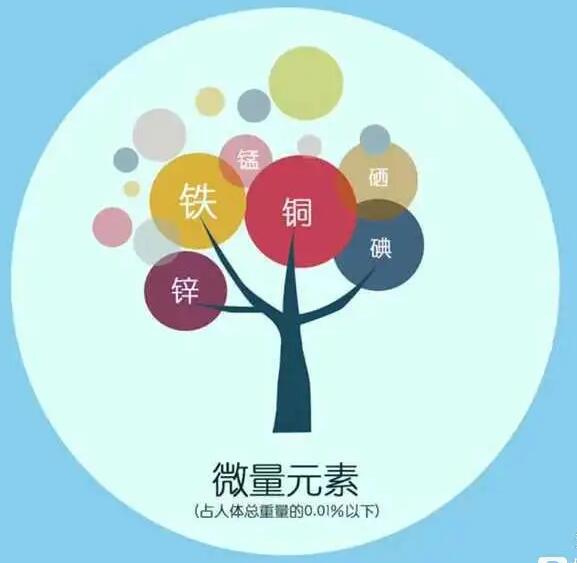 人體麻豆精品久久国产廠家哪家好