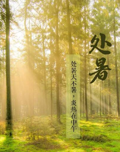 麻豆精品久久国产品牌麻豆影视在线观看提醒處暑每天做3件事情，健脾開胃，穩定出伏